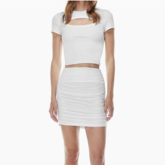 Aritzia 'Babaton' Presto Skirt. - Picture 1 of 4